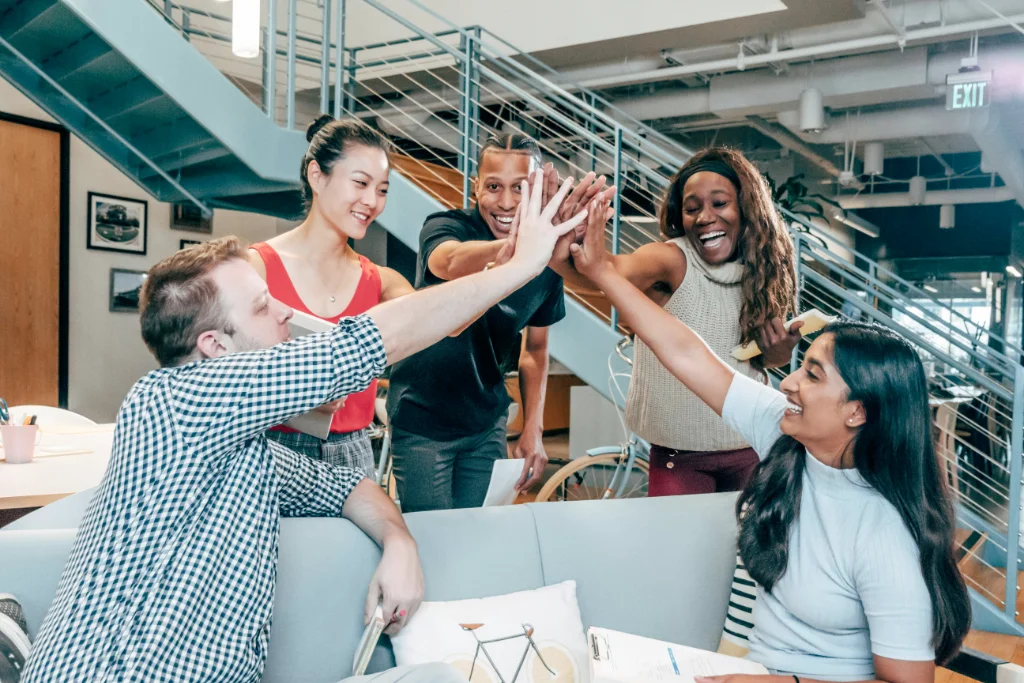 Web platform development