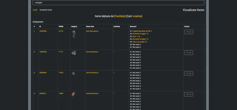 Inventory inspection system displaying character equipment and item information