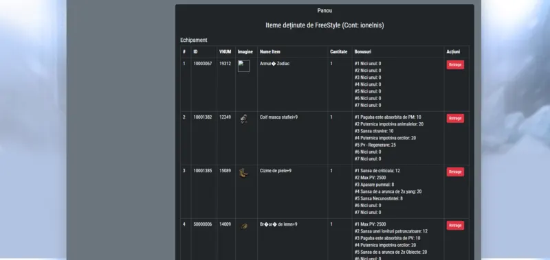 Metin2 inventory inspection page displaying character items, equipment and inventory contents